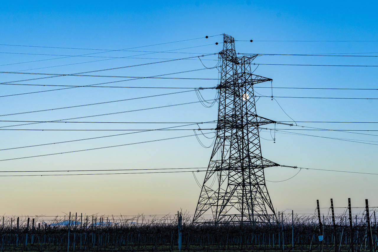 Feeder Zone Energy Storage: The Next Major Trend